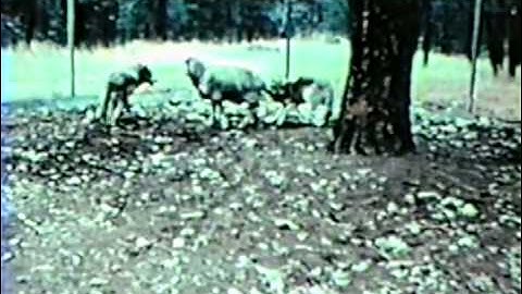 Conditioned Aversion