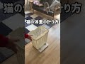 猫の体重の計り方