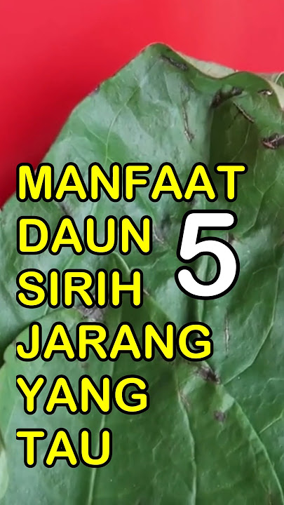 5 Little-Known Benefits of Betel Leaves #permanacuy