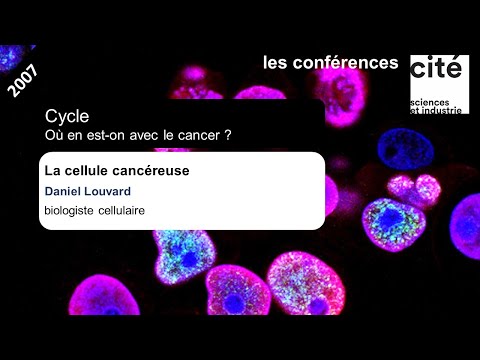 Vidéo: Les cellules cancéreuses sont-elles différenciées ou indifférenciées ?