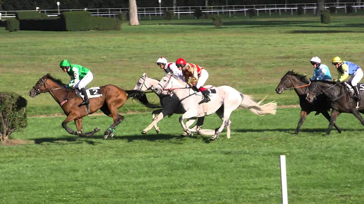 Thomas Garner: Vek starohjska steeplechase