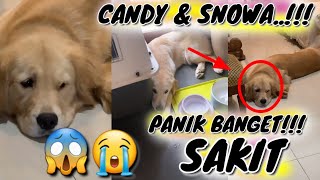 VLOG TERBARU THE GOLDEN FAMILY, SNOWA SNOWEE WAPEM SNOW ABON NUBI ANABUL BIKIN GEMES & LUCU PART 7