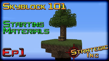 Skyblock 101-1: Starting Materials
