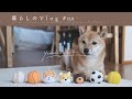 《 ありがとうを伝える日🎂|パンとスープと誕生日。|暮らしのVlog #110 》The day I wanted to express my gratitude.