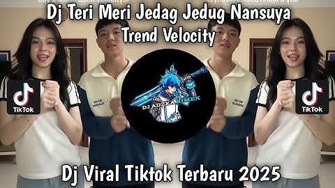 DJ TERI MERI JEDAG JEDUG TRAND VELOCITY | DJ TERI MERI BBHC VIRAL TIKTOK TERBARU 2025