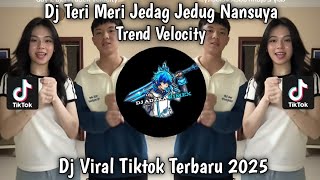 DJ TERI MERI JEDAG JEDUG TRAND VELOCITY | DJ TERI MERI BBHC VIRAL TIKTOK TERBARU 2025