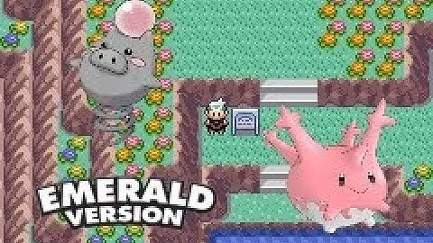 How to find Corsola & Spoink in Pokemon Emerald