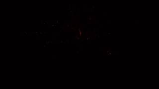 CGF 1303 2013