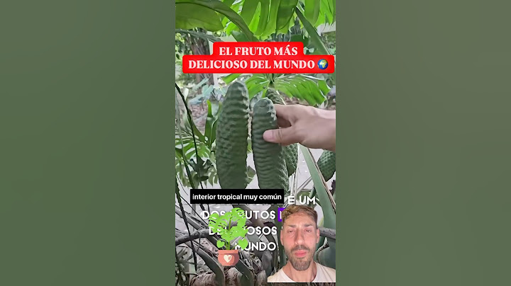 Monstera: Plant of Delicious Fruits