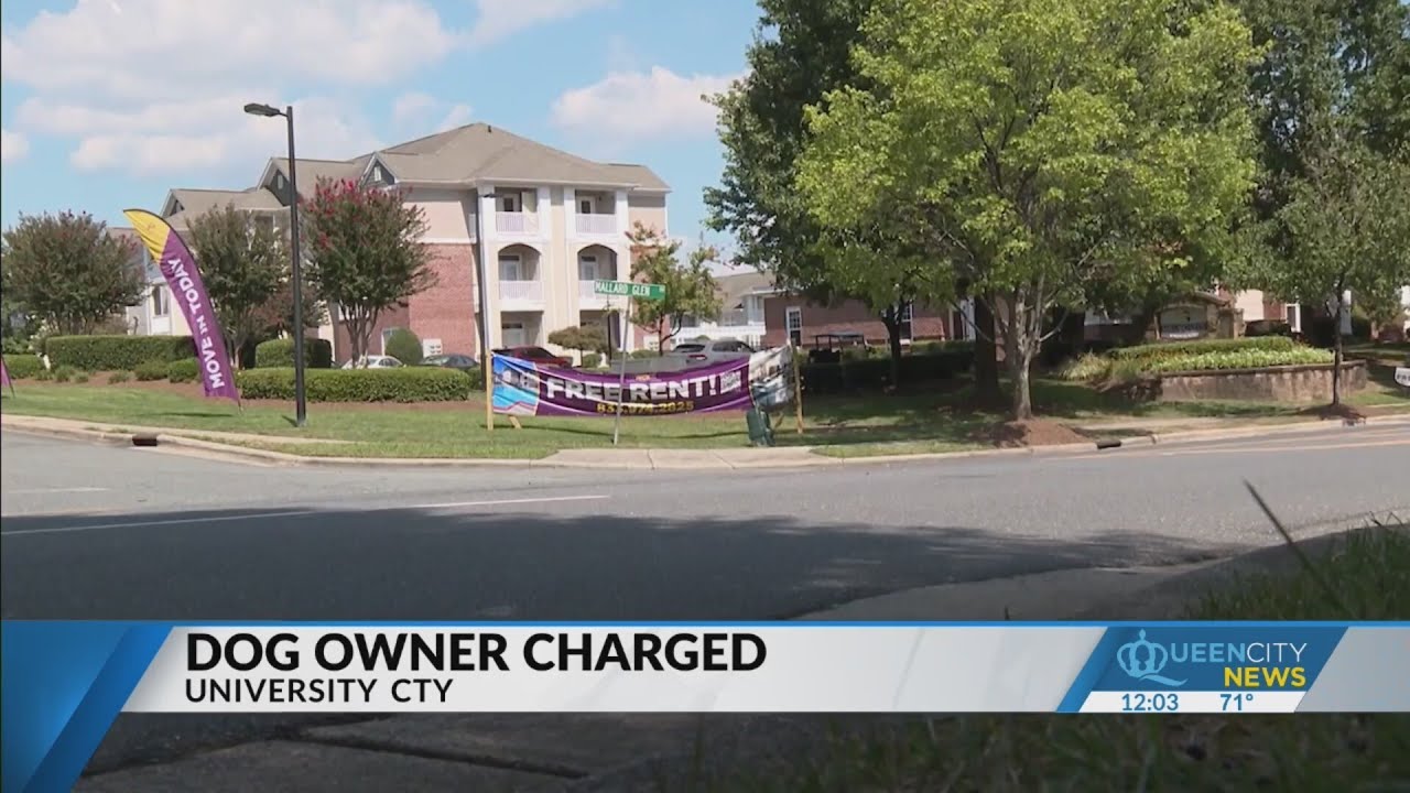 Owner charged after women seriously injured in dog attack - YouTube