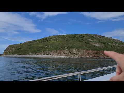 Puffin Island Cruise, Seacoast Safaris. Anglesey