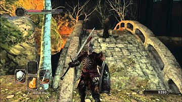 Dark Souls 2 - Huntsman Copse 2 [Part 19]