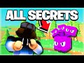 How to Find All SECRET SPOTS in PET SIMULATOR 2!