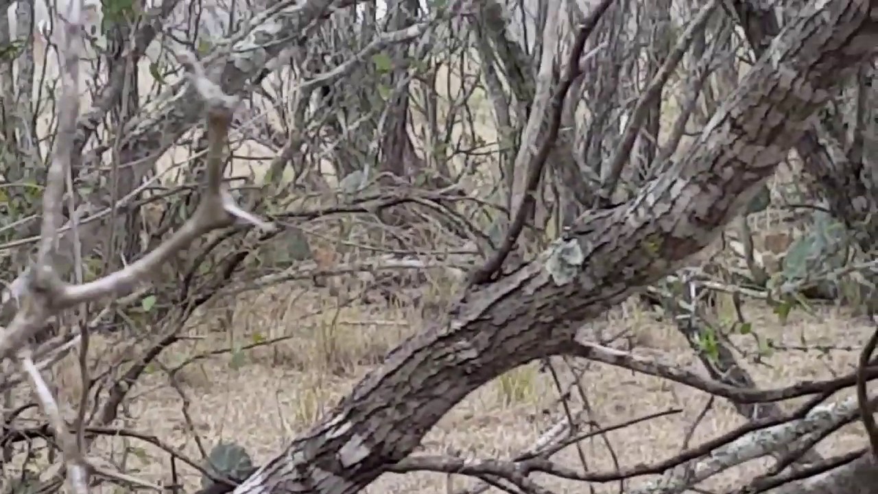 Trinity Outdoors Disabled Adventures/ Robert "Frenchy" Crochet Swamp