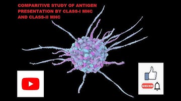 Comparison of exogenous & endogenous pathway antigen presentation GATE BT/DBT JRF/ICMR JRF/CSIR-NET
