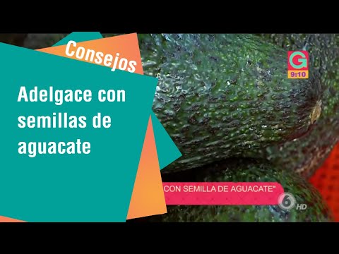 Para la pepa aguacate adelgazar con hechizos de