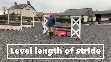 Jumping a related distance - Baileys Winter Series Jump Training