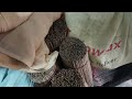 finally professional company Thandi ki Gaddi a ga |#Kitemakingtipsandtricks
