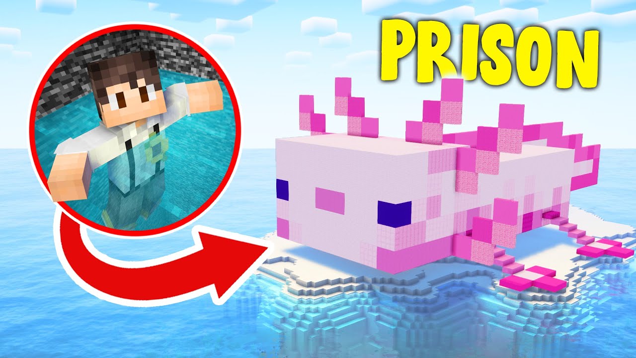 Kannst Du Dem Axolotl Gefängnis In Minecraft Entkommen?