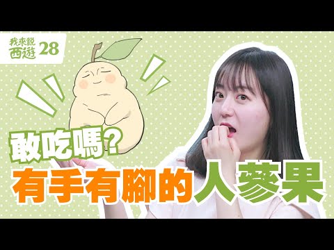 什麽！「人蔘果」竟然有手有脚????，这长了一万年的果子????，吃了还长生不老??。不过，这回孙悟空又闯了什麽祸，竟也栽跟头？ | 我来说西游 天心