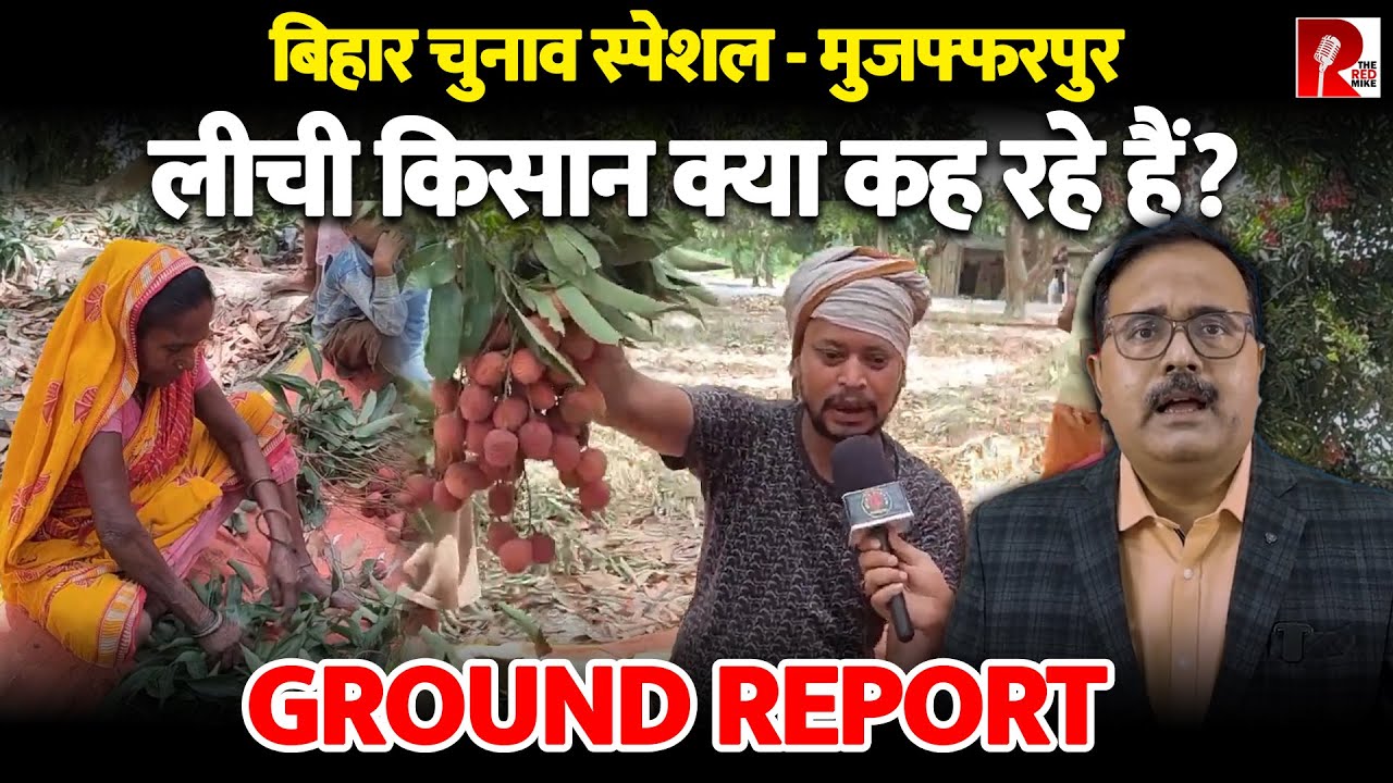बिहार चुनाव स्पेशल - मुजफ्फरपुर। लीची किसानों से बात की @mihirgautamofficial ने