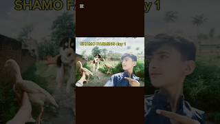 Shamo farming vlog aj esa Kya howa ges ke waja se mujhy rajkomar ko nehlaya