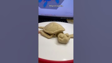 3D Print My Dream Turtle #3dprinted