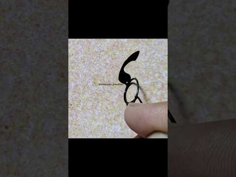 الفنان لا يحتج بعدم وجود أدوات نستعليق