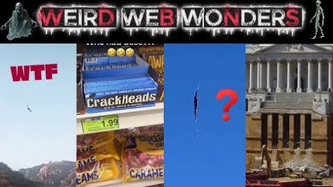 weird web wonders vol 76