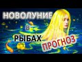 Новолуние в Рыбах и прогноз для всех знаков Зодиака с 13.03 по 12.04.2021