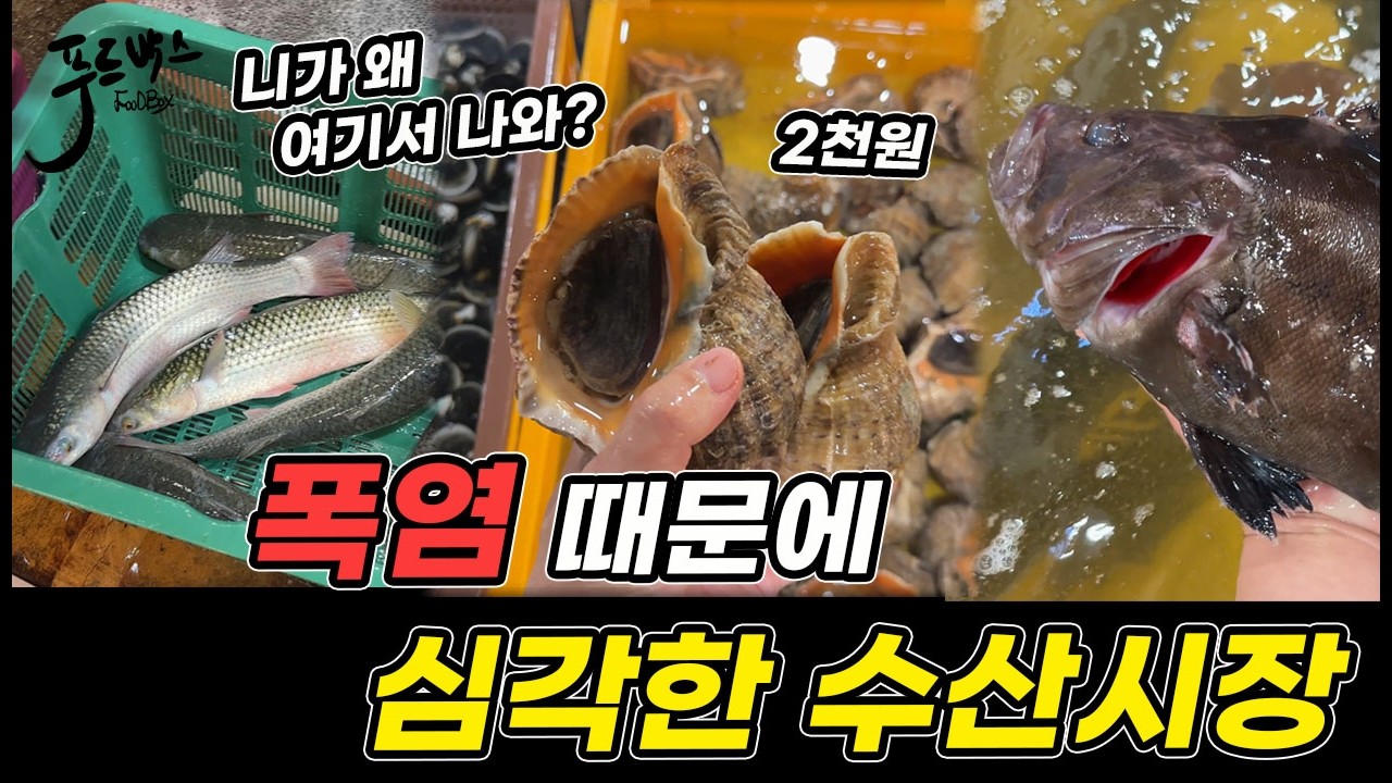 [심각한 수산시장] 폭염때문에 나온 이상한 생선... 안팔려서 조업을 안하다고 ~ 심각한 경기침체 ...[노량진수산시장 20260730]