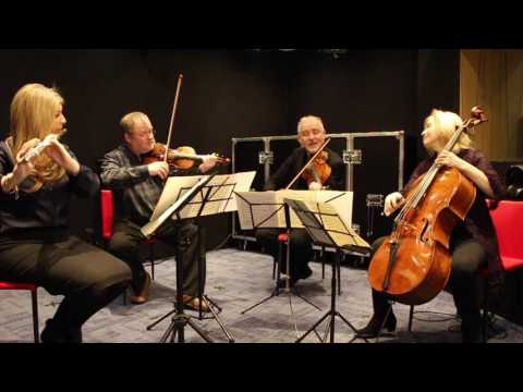 Mozart Quartet in D Major KV285 (1st Mvt) - Lisa Friend (Flute) & the Brodsky Quartet