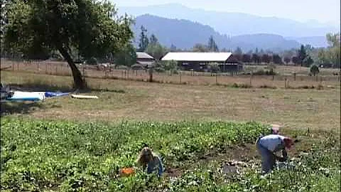 King County Communities - District 9