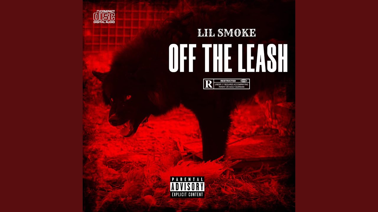 Watch Swiftly on YouTube Watch Swiftly on YouTube