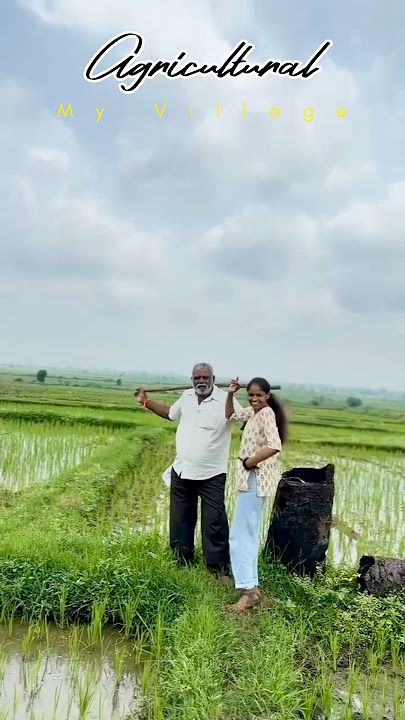 My village #agricultural #agriculture #trending #shorts #short #video #magic #music #travel #love
