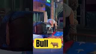 Benidorm Bull #Benidorm #Horse #Bullriding #Foryou #Funny #Bullride #Rodeo #Spain #Fun