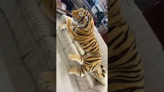 Flipping 300 Tiger From The Thrift Store