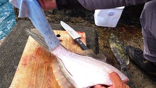 気持ちよすぎる毒魚の皮剥ぎ取り【怪魚狙いの北大東島遠征#2】