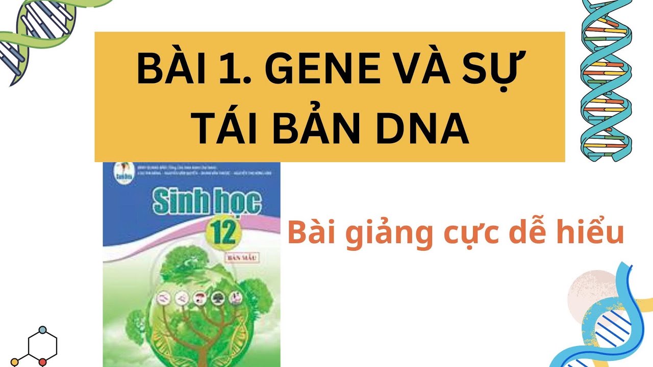 Bài 1. GENE VÀ SỰ TÁI BẢN DNA I Sinh 12| Bài giảng dễ hiểu