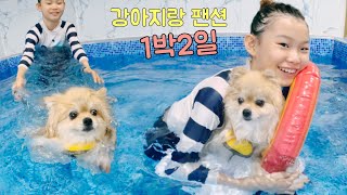 뽀뽀랑 강아지 팬션 1박2일 | 라임가족 여행 브이로그 LimeTube