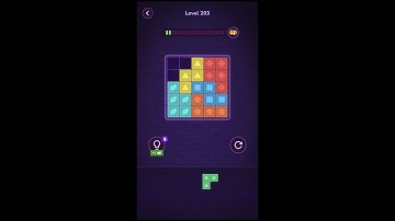 Challenge Me！Complete 5 levels in the shortest time: Block Puzzle Level 203-207💡