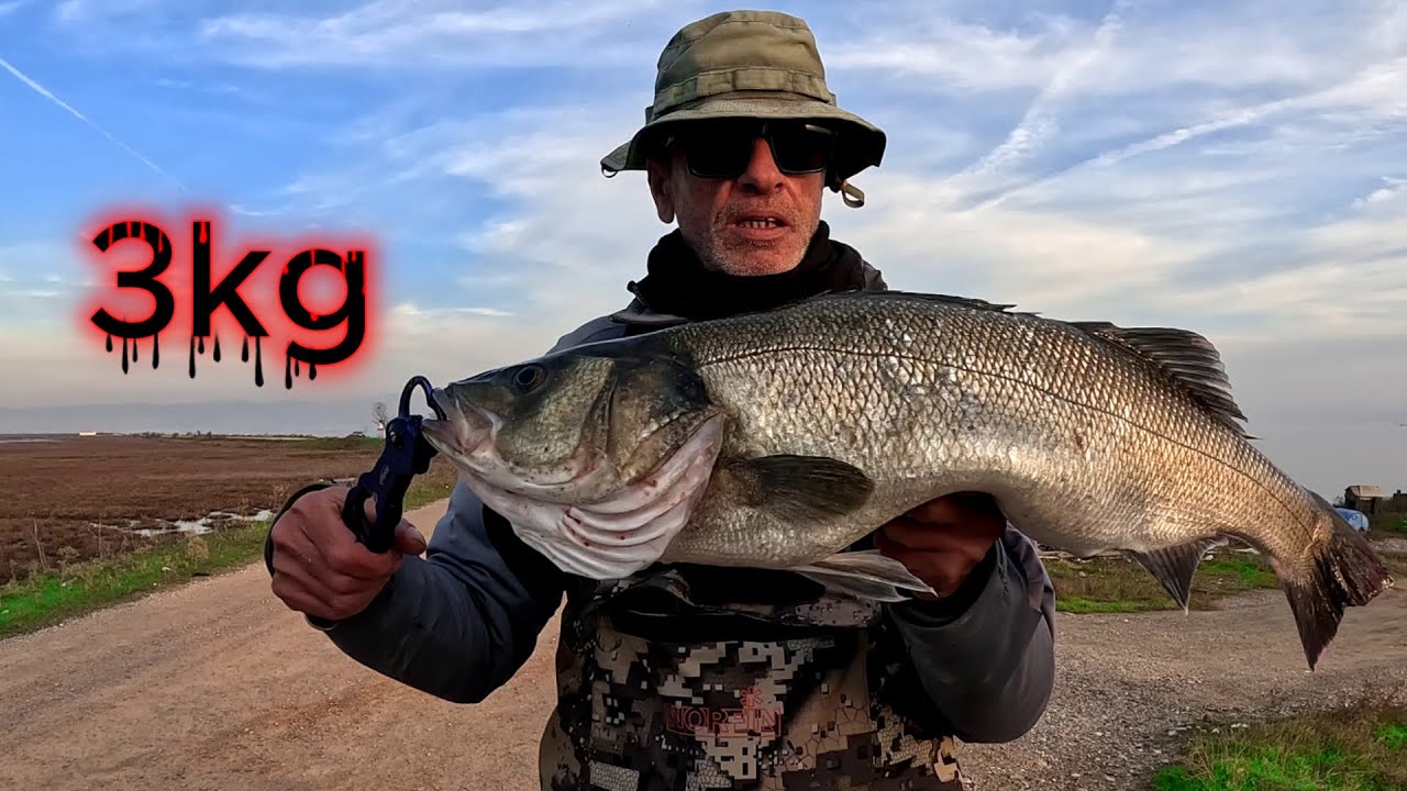 Echedoros Lures  ΛΑΒΡΑκοKILLERS!!!