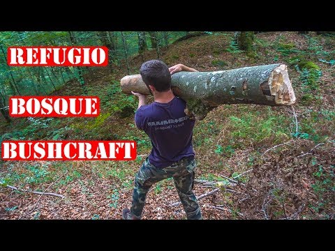 Video: Escápese Al Bosque Con Su Propio Kit De Cabaña De Troncos A Casa