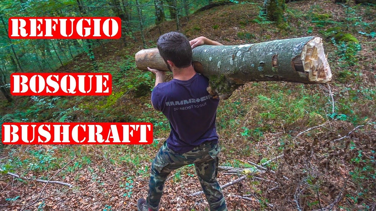 Haciendo Una Cabaña De Madera En El Bosque Youtube