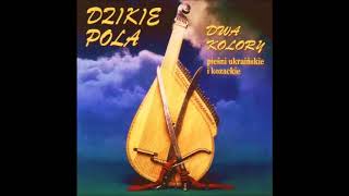 Video thumbnail of "Dzikie Pola - Pierogi z Serem"