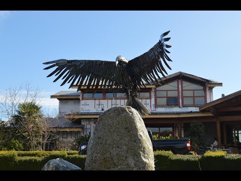 Video: Ze worden begroet door kleding, afgezien door kleding. Kleurrijke sculptuurinstallaties