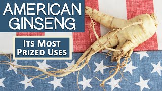 What is American Ginseng? Most Prized Uses | How It's Different Than Asian