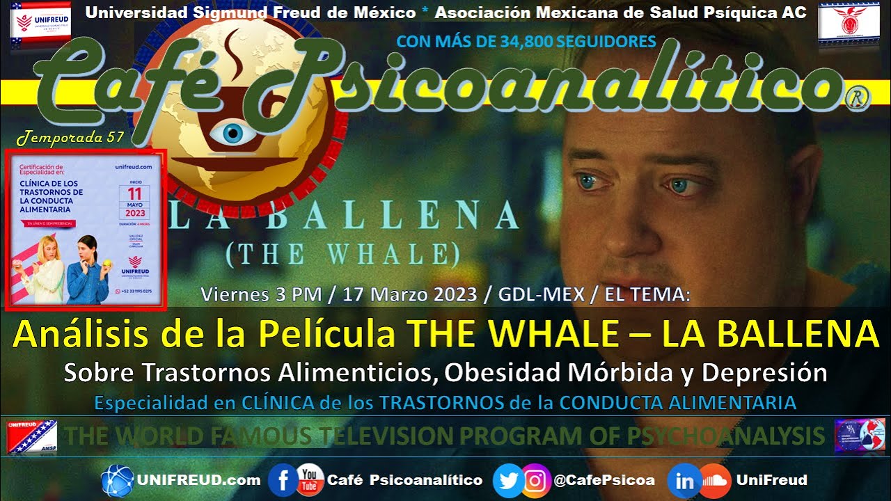 Análisis de la Película THE WHALE - LA BALLENA | Sobre Trastornos ...