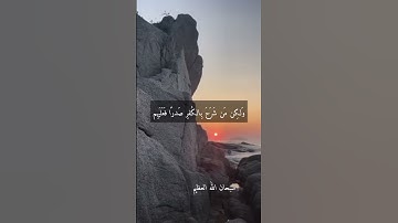 الشيخ طه.. نوادر روعه اجمل ما قراء رحمه الله #تلاوات