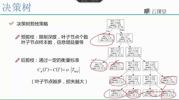 课时66决策树剪枝策略.mp4